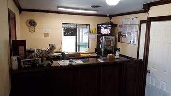 Budget Inn Edinburg Kültér fotó